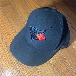 Blue Jay Snap Back Baseball hat